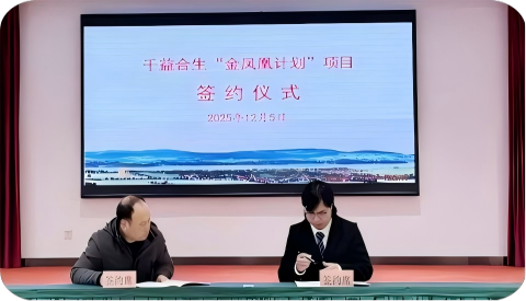 05.png