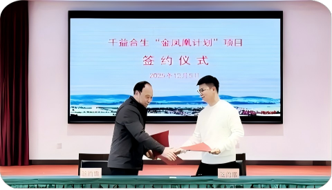 02.png